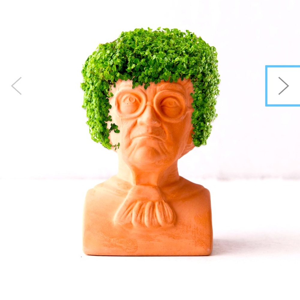 Meet your Posher, Nora